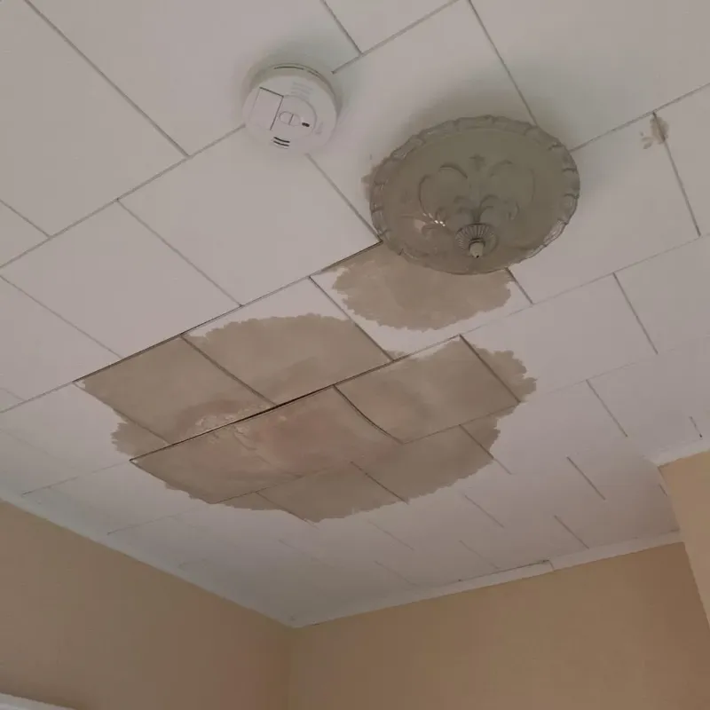 Ceiling Water Damage Repair in Meriden, CT