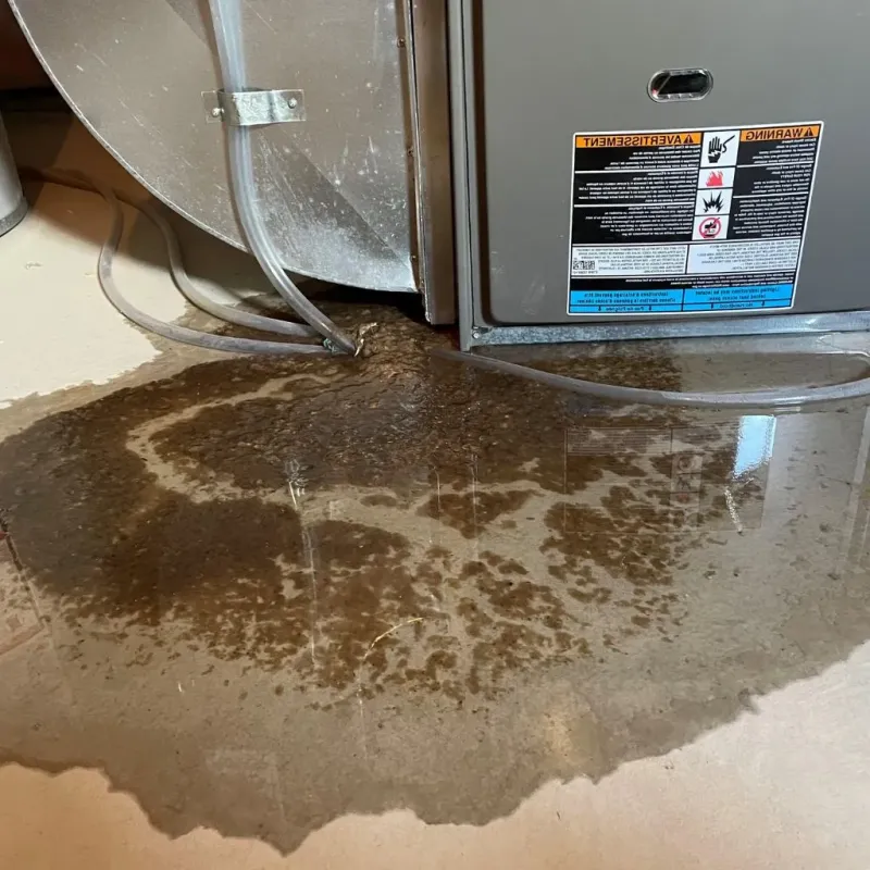 Pipe Burst and Leak Restoration in Meriden, CT
