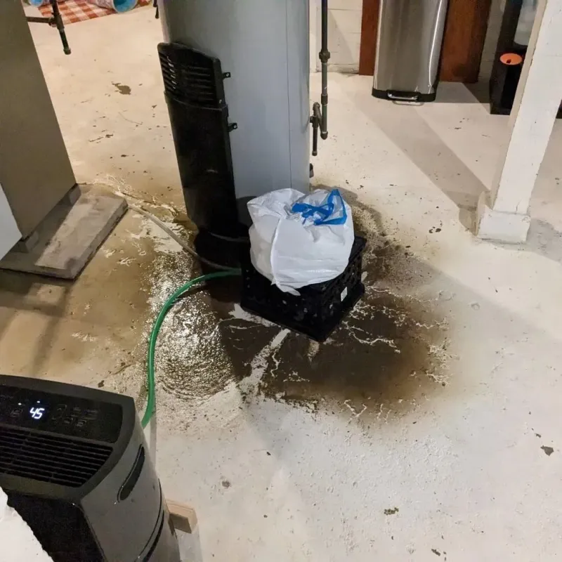 Sewage Backup Cleanup Service in Meriden, CT